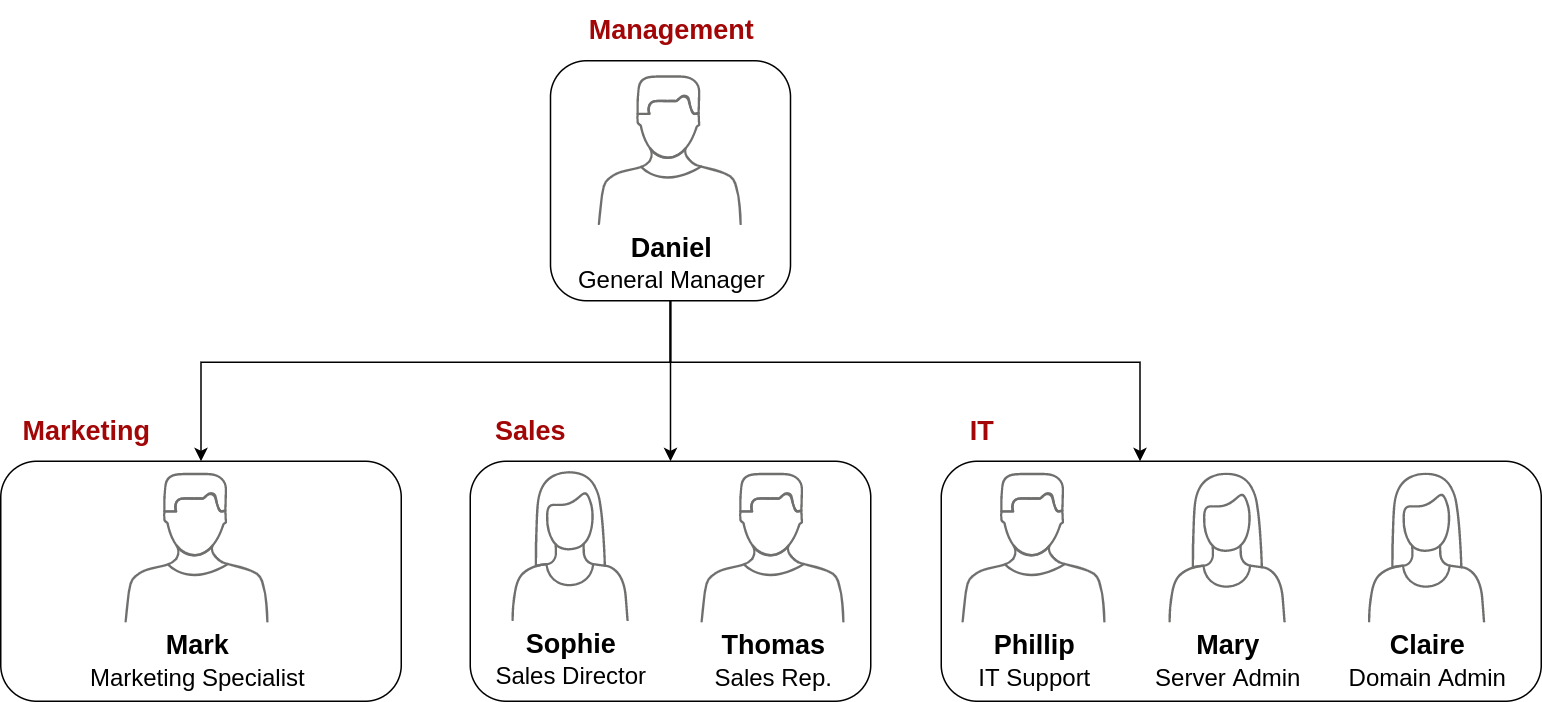 THM Organisational Chart